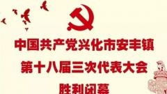中国共产党兴化市安丰镇第十八届代表大会第三次会议胜利闭幕