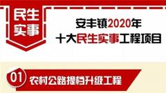 兴化市安丰镇2020年民生实事工程项目