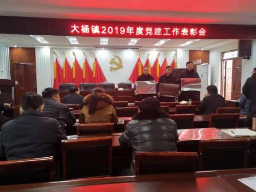 谯城区大杨镇召开2019年度党建工作总结表彰大会