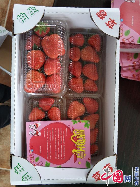 句容草莓种植户捐赠草莓  慰问一线医护防疫人员和媒体