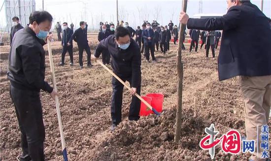 响水县四套班子领导参加义务植树