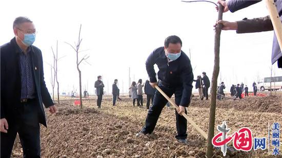 响水县四套班子领导参加义务植树