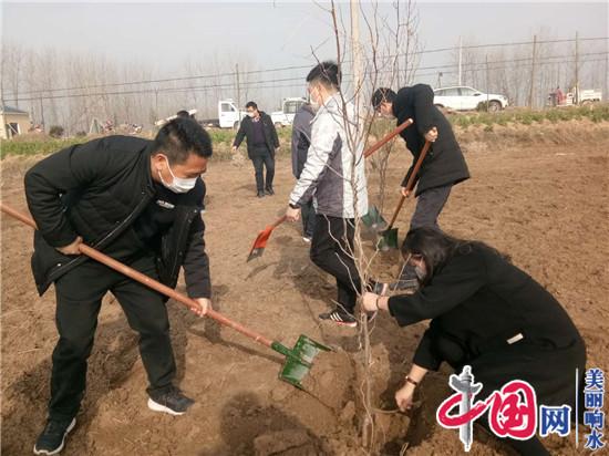 响水黄圩镇：千亩枣树“疫”线栽