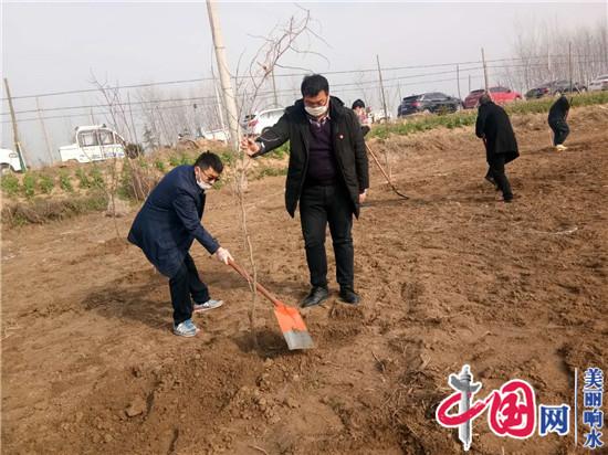 响水黄圩镇：千亩枣树“疫”线栽