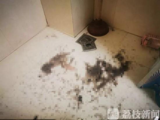 南京市民通过“贝壳找房”找了个“喷粪”房