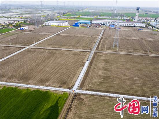 金湖县：高标准农田项目全面复工复产