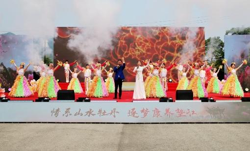 我在垫江等你——2020年3月25日第21届牡丹文化节正式开幕