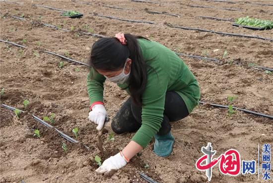 响水县应对疫情提高就业扶贫“含金量”