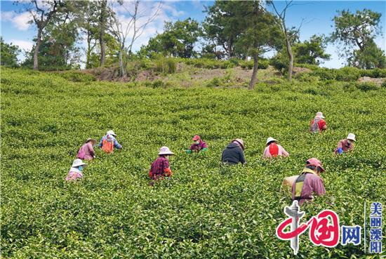 溧阳茶叶节暨天目湖旅游节将于4月18日开幕