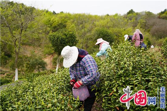 溧阳茶叶节暨天目湖旅游节将于4月18日开幕