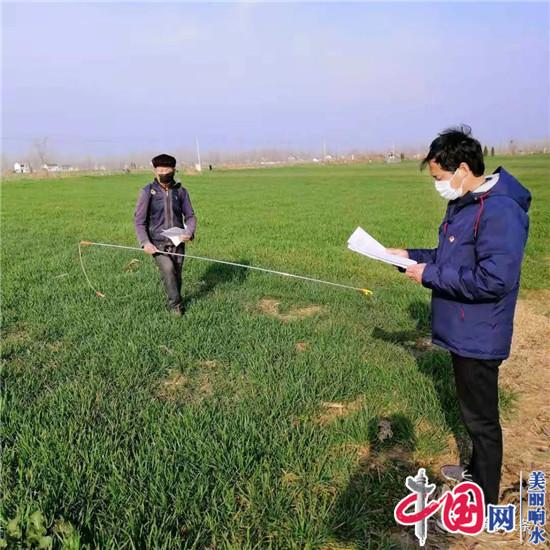 响水县抓牢春耕生产稳定粮食种植