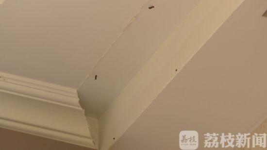 镇江句容一精装房屋顶石膏板两次脱落 开发商以房子过了质保期为由拒绝维修