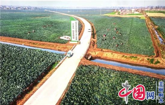 响水县优质农产品质量安全创历史新高