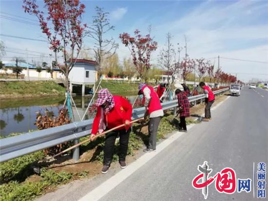 射阳：广袤沃野铺锦绣