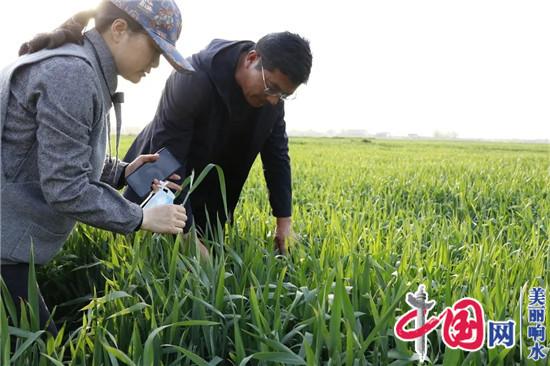 科学指导 免费送药 确保小麦赤霉病防治取得完胜