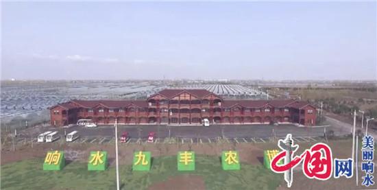 响水县高质量建设国家农业科技园区