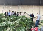  射阳县政协视察农产品质量安全工作