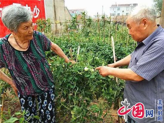 九旬老人不寻常 传承家风好榜样——射阳县临海镇老党员夏树培传承好家风