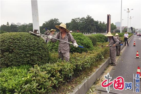 句容城管局：园林中心夏季绿化养护忙