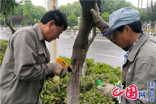 句容城管局：园林中心夏季绿化养护忙