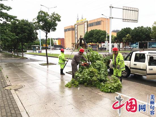 句容城管局园林中心应对入梅暴雨   确保道路安全畅通