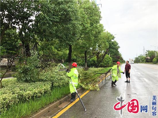 句容城管局园林中心应对入梅暴雨   确保道路安全畅通