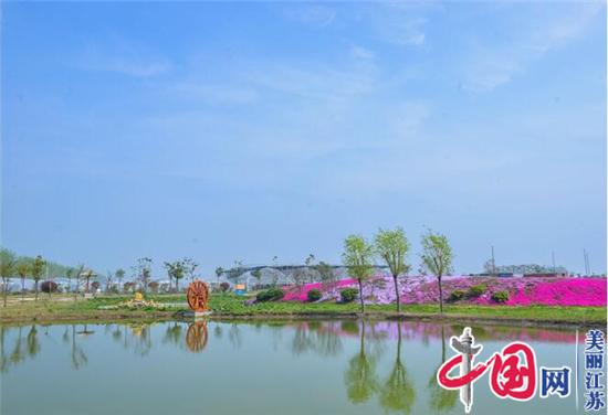 中国网带你看金湖之二：住房改善一户不少 通过“荷乡振兴”感受“金湖温度”