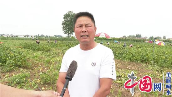 响水县为农民群众定制“幸福套餐”