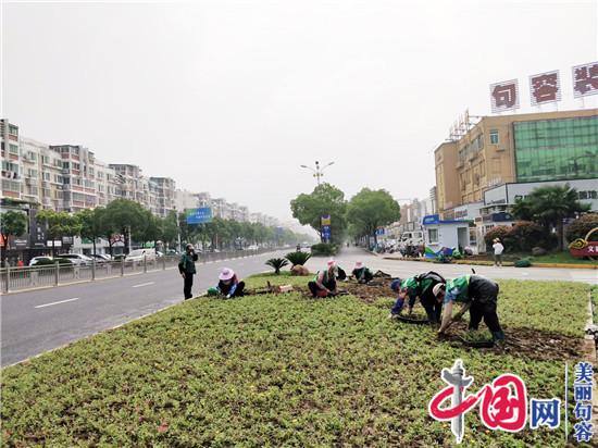 句容城管园林管理中心更换夏季草花