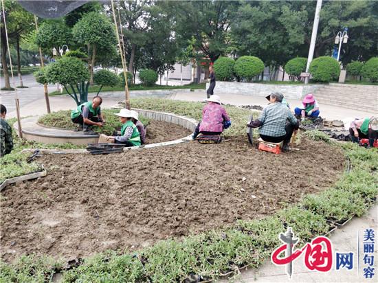 句容城管园林管理中心更换夏季草花