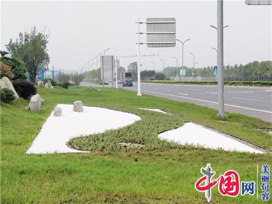 句容城管园林管理中心更换夏季草花