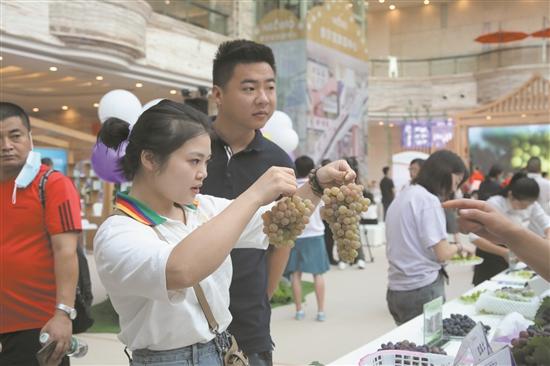 小葡萄串起彭山美学生活新高度