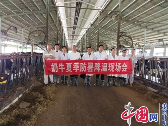 江苏省现代农业(奶牛)产业技术体系到盱眙推广示范基地开展技术培训、技术研究
