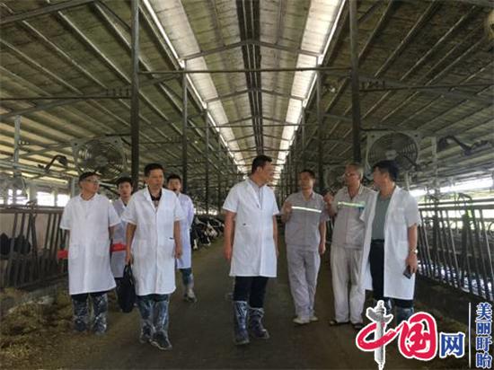江苏省现代农业(奶牛)产业技术体系到盱眙推广示范基地开展技术培训、技术研究