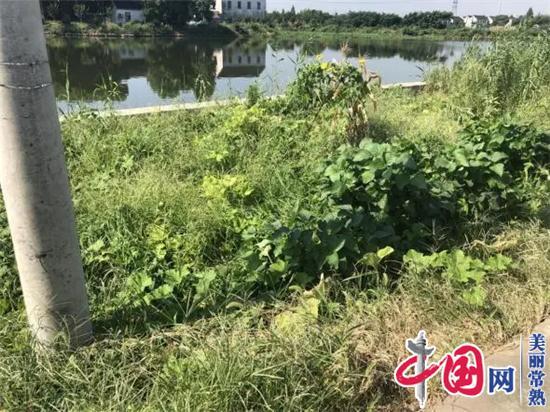 常熟市辛庄镇：人居环境整治再升温 不破楼兰终不还