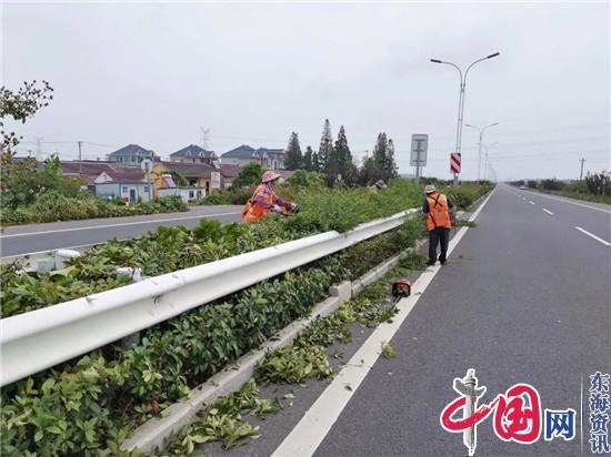 兴化公路站修剪遮挡行车视线绿化