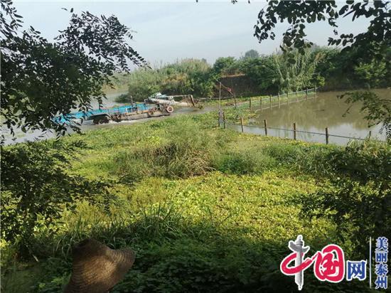 姜堰俞垛镇全面开展河湖清洁专项行动