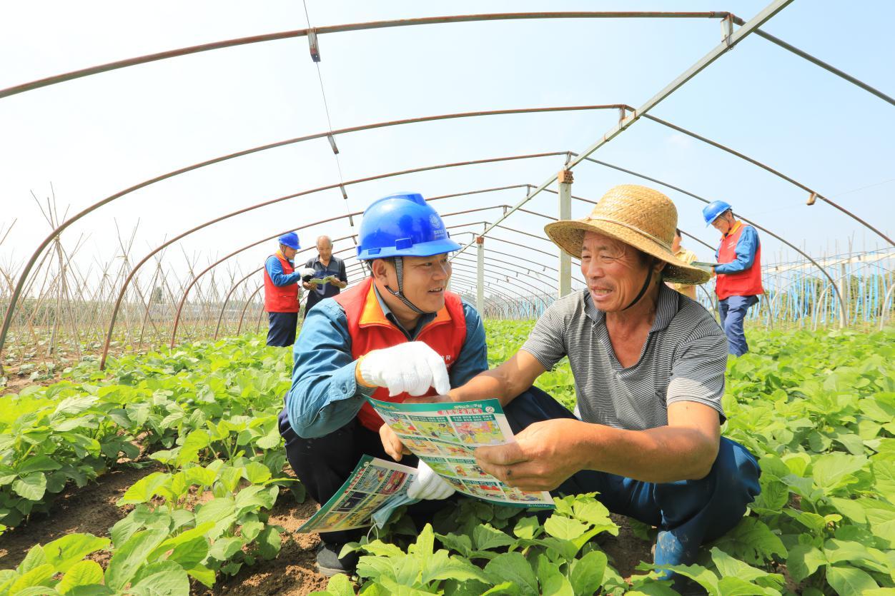 山东郯城：乡村电气化建设助力脱贫攻坚