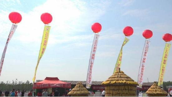 2020亳州·蒙城“中国农民丰收节”正式开幕 特色农旅小镇迎八方游客