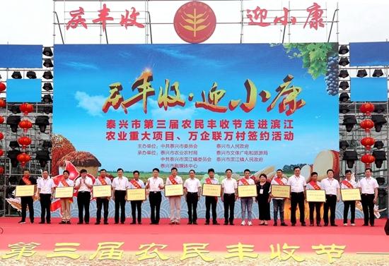 江苏泰兴：项目签约村企共建 农民丰收节结硕果