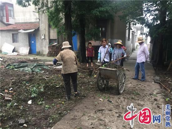 常福街道：双节假期好热闹  香樟树下话美居