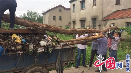 常福街道：双节假期好热闹  香樟树下话美居