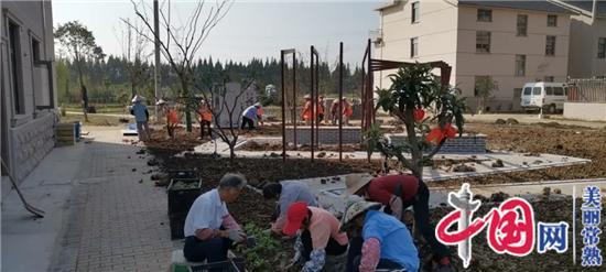 常福街道：双节假期好热闹  香樟树下话美居