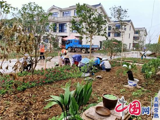 常福街道：双节假期好热闹  香樟树下话美居