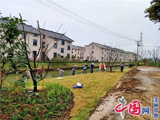 常福街道：双节假期好热闹  香樟树下话美居