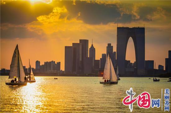 同舟共济 谁与争锋——2020第十一届城际内湖杯金鸡湖帆船赛明日启航