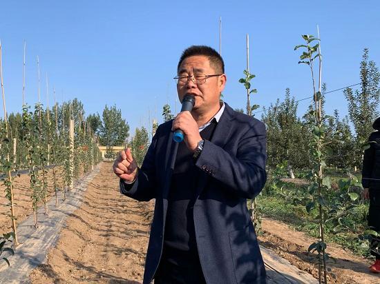 果业盛典会聚三秦大地 政企合力打造世界级苹果新种