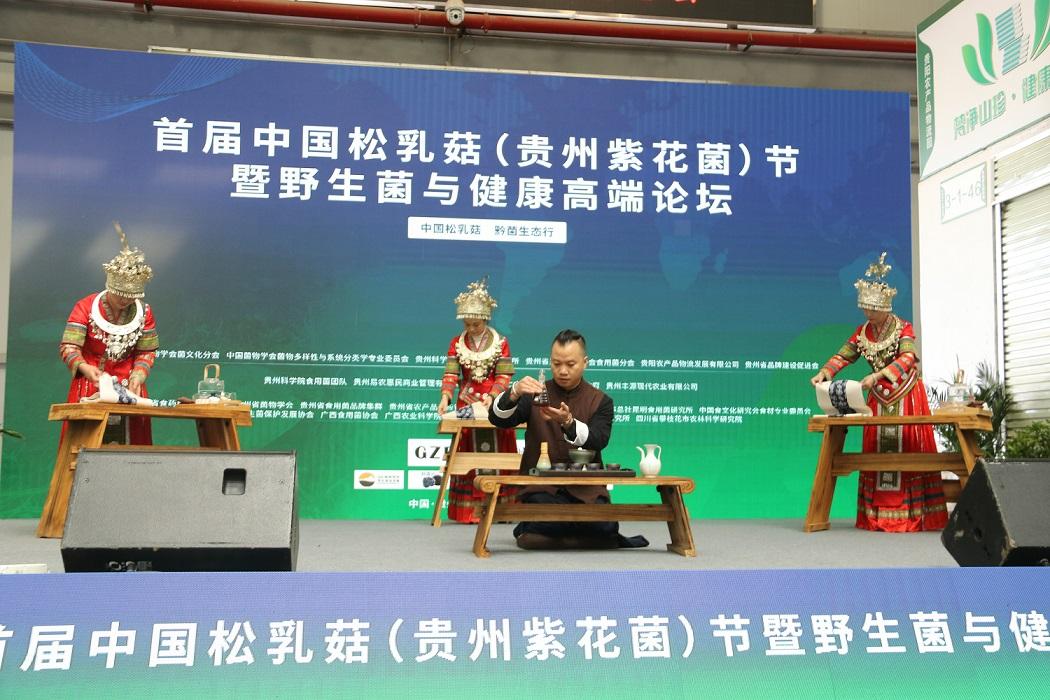 中国松乳菇 黔菌生态行 首届中国松乳菇节在贵州举行