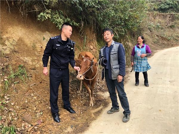 道坪派出所民警、村警帮助群众找回丢失的耕牛