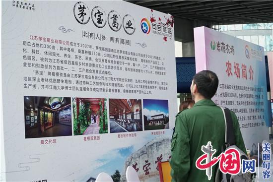 句容旅游魅力震撼大上海  携手复苏冬季旅游市场